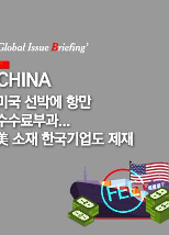 [글로벌이슈브리핑 Vol.201] 中, 미국 선박에 항만 수수료 부과...美 소재 한국기업도 제재
