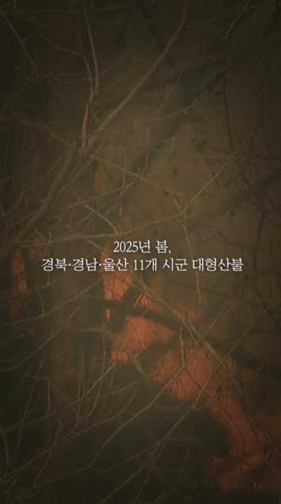 [NRC NOW] 🔥 불타버린 농촌, 다시 시작할 수 있을까? | 국내·외 정책연구동향 VOL.4 대표이미지