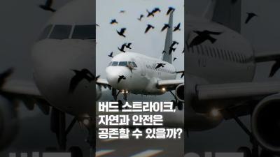 [NRC NOW] 제 14편 _ 국내·외 정책연구동향 VOL.6 | ✈조류충돌 급증! 자연과 항공안전, 공존할 수 있을까? 표지이미지